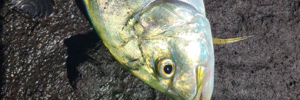 LMJofficially Profile Banner