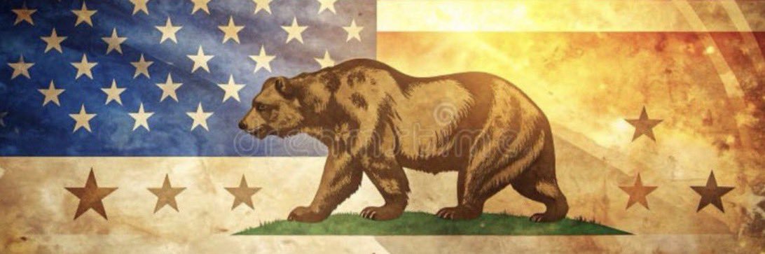 CAGOP.🐘🇺🇸 banner