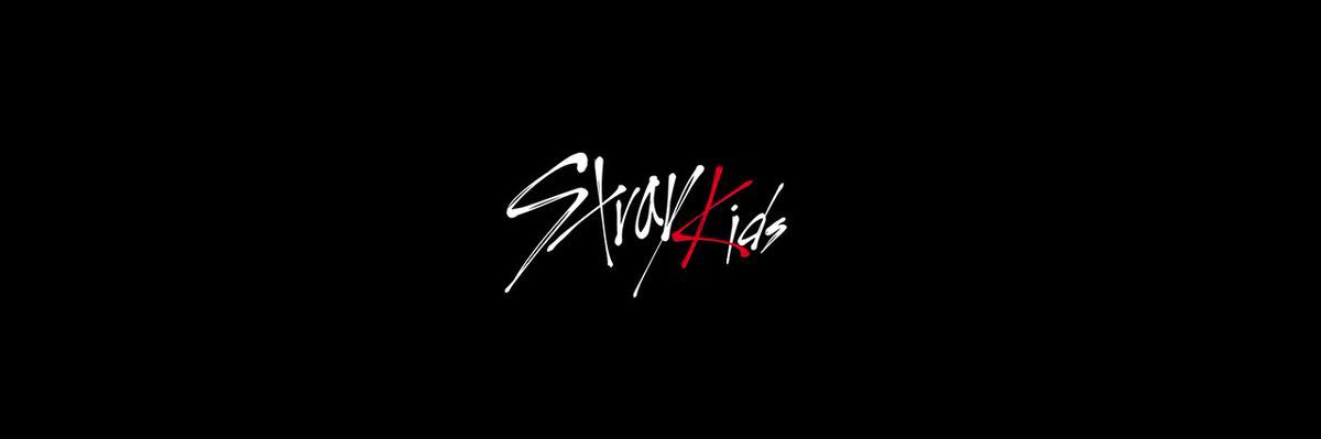 stray kids world domination banner