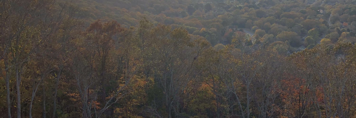 The_Real_Shar's profile banner image