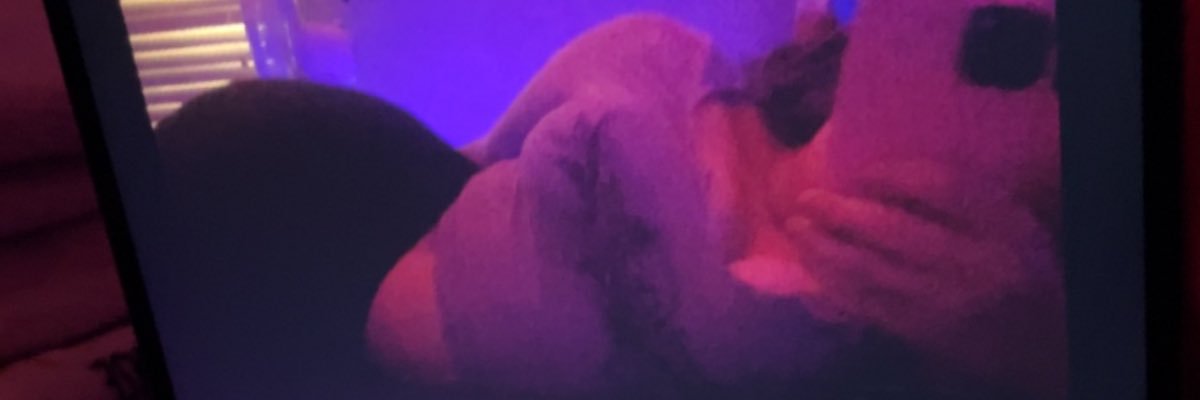 Lucy Hirsch banner