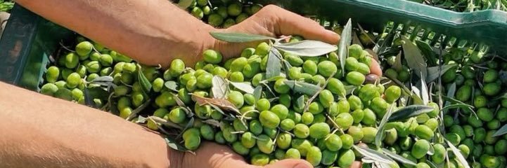 AlShamal Pinterest banner