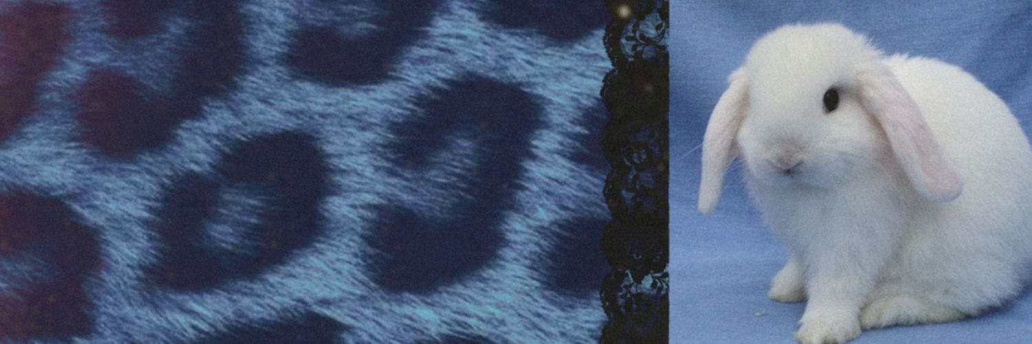 x - astro٠࣪⭑⁸¹ banner