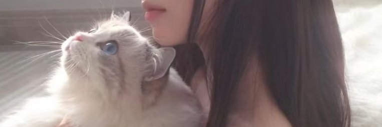 SheldonA50206's profile banner image