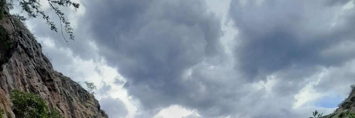 Elaferreletras's profile banner image