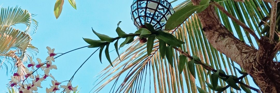 putrikidi's profile banner image