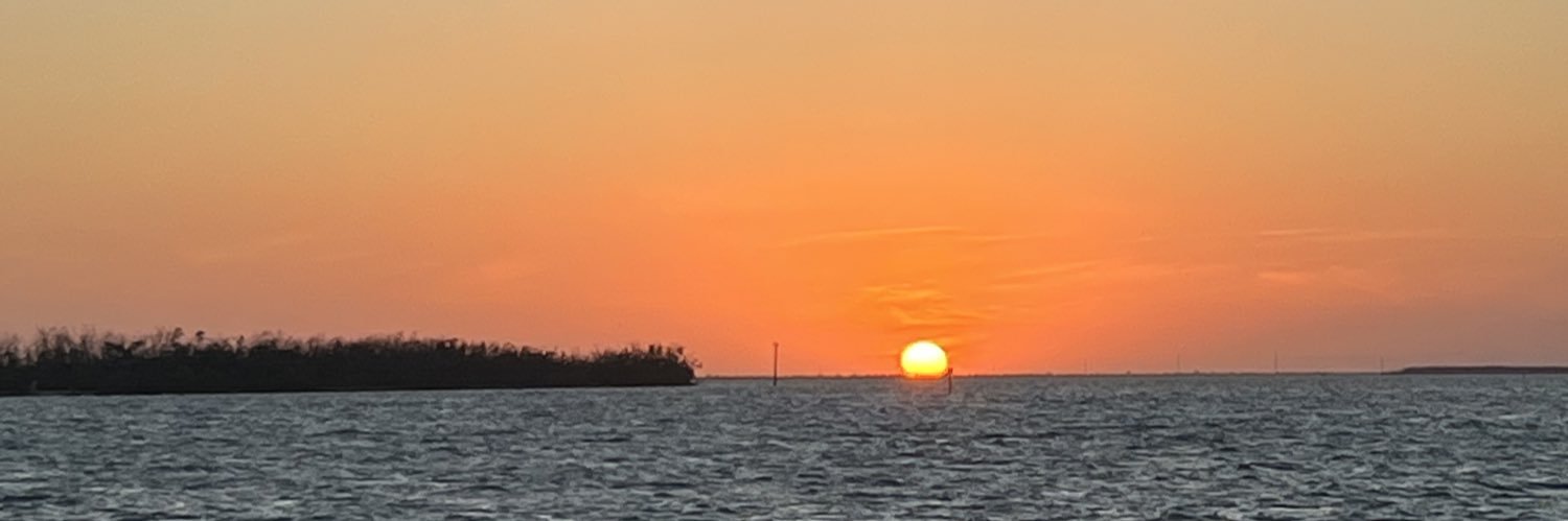 aurac_19's profile banner image