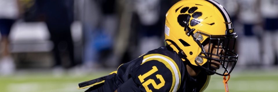 Ladarrius Mcintyre (Lj) banner