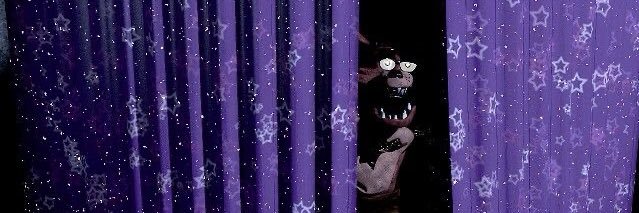 ipodfox 🦋🏴‍☠️ banner