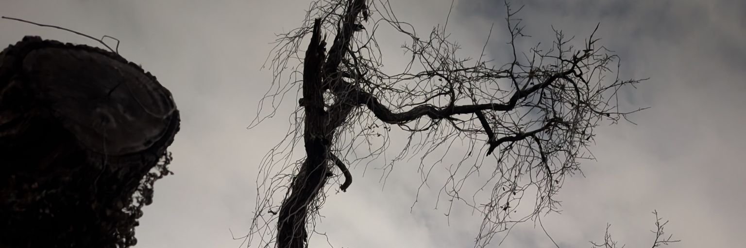 Dad_E banner