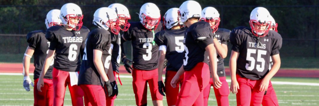 Trace Hansen banner