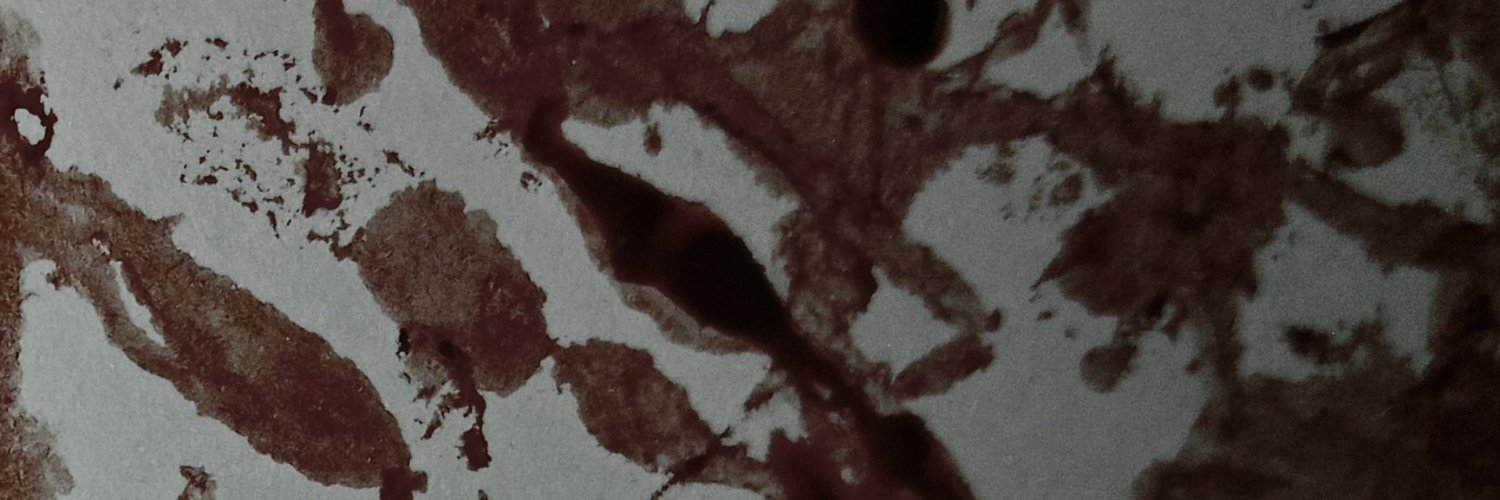 pudding_isd3ad_'s profile banner image