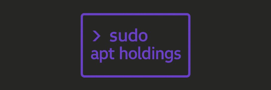 Sudo Apt Holdings banner
