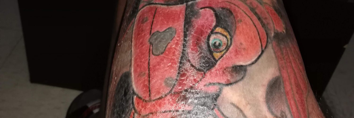 davidflore47266's profile banner image