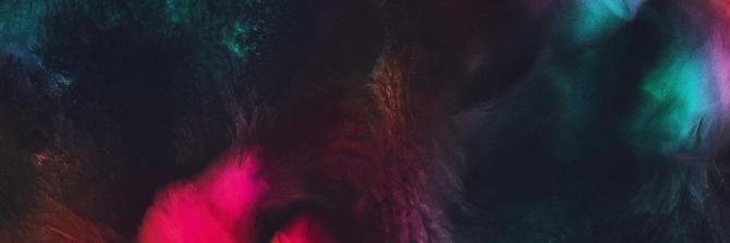 beelmutti's profile banner image