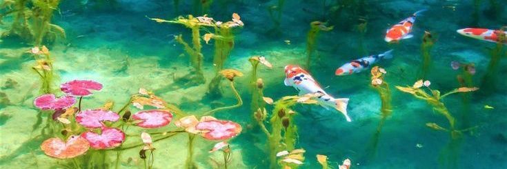 Keir the dear※*:・'°☆shedtwt banner