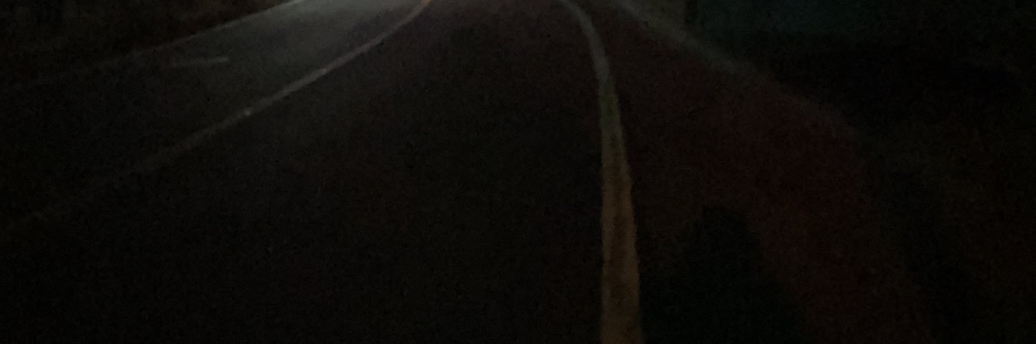 🦫 banner