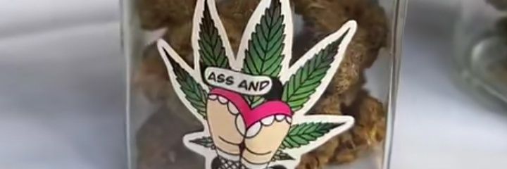 Patchoooo renga banner