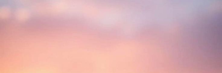 jigomlee banner