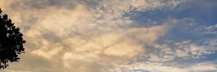 feenotes's profile banner image