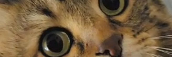 ✨ Schrödinger ✨ banner