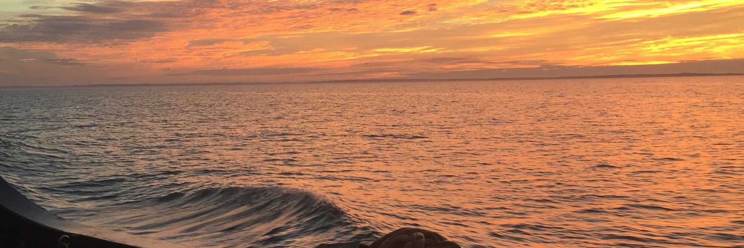ecarey00's profile banner image