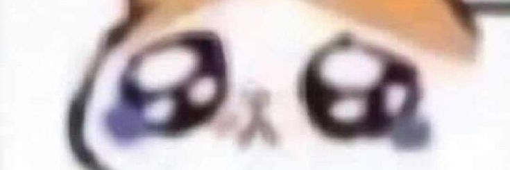 thonlyrii🐹 banner