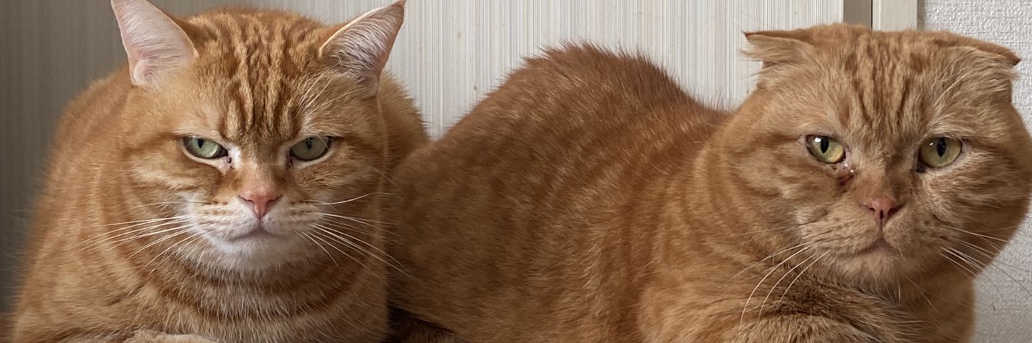 のり 読書好き banner