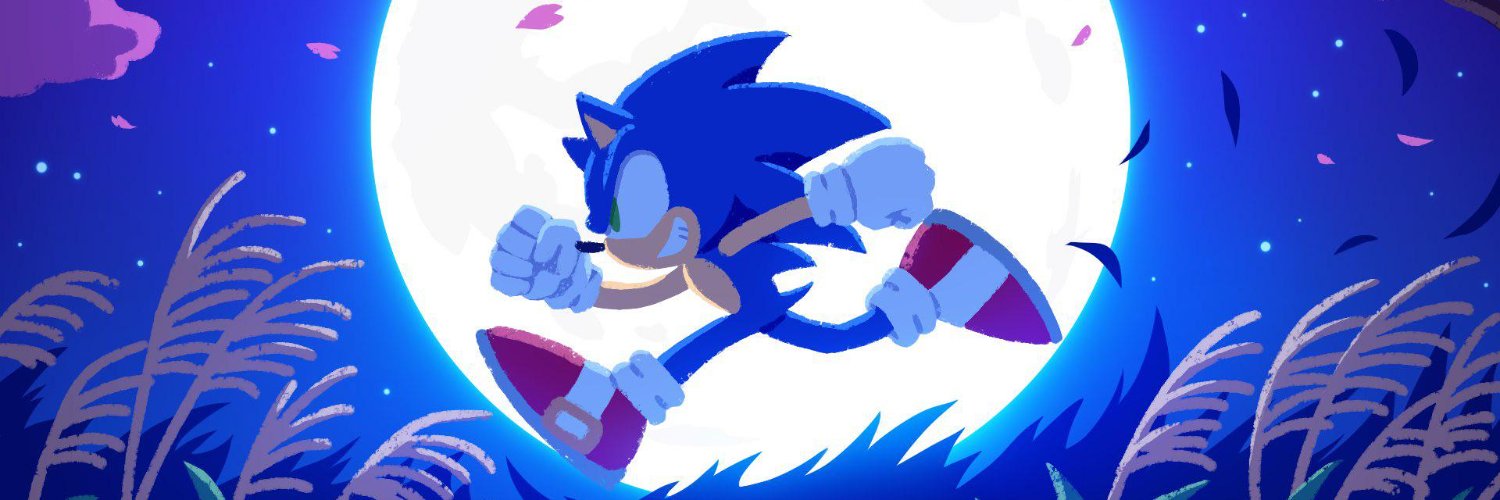 Sonic The Hedgehog banner