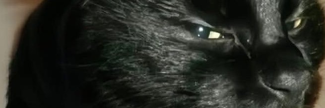 Dearmedusaaa's profile banner image