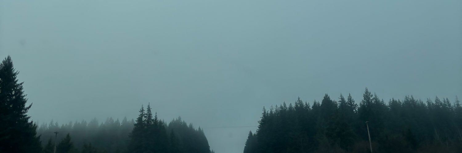 Vic banner