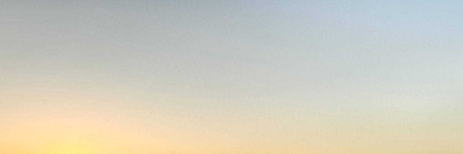 ris banner