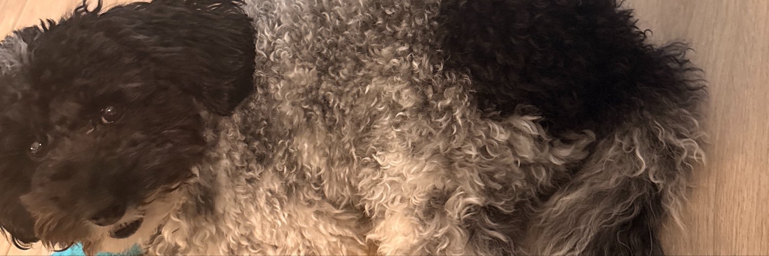 sdwinge09's profile banner image