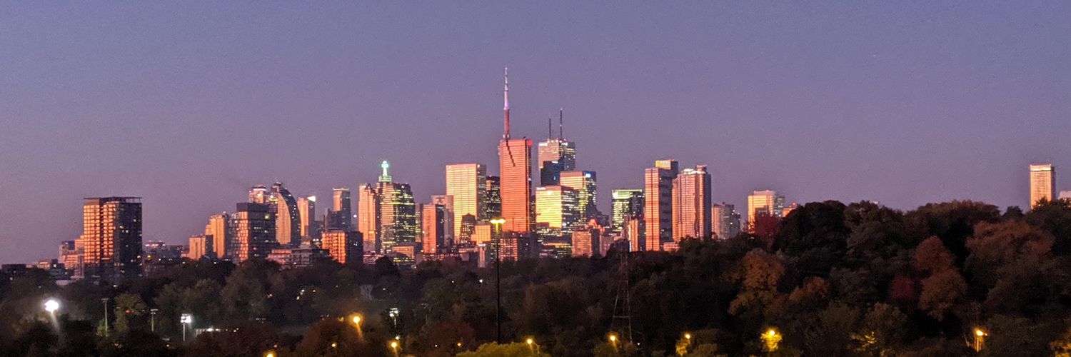 TDLibs's profile banner image