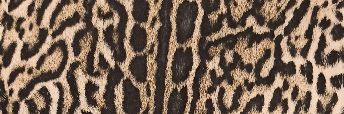 Queen Lisa CUNTlow banner