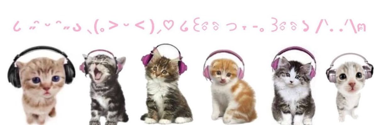 sophi 𓏲ּ𝄢 banner