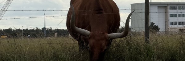 _NicT_ Profile Banner