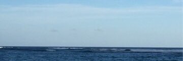 Denytse's profile banner image