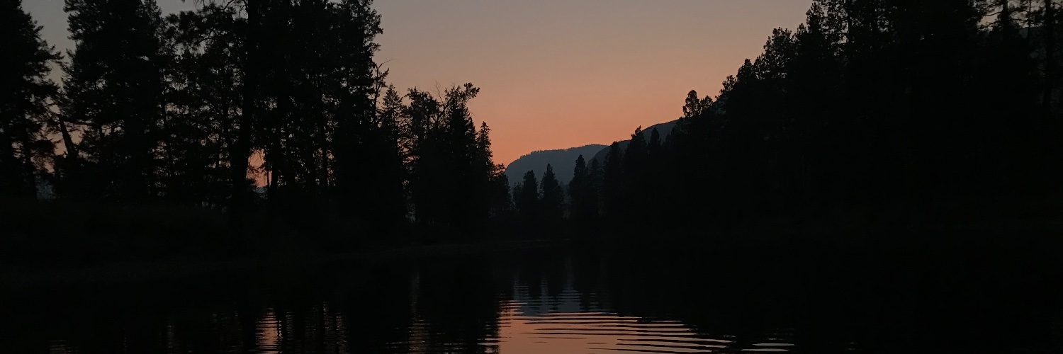 Catch & Release banner