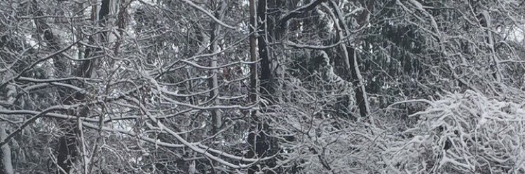 TheRealNoff's profile banner image
