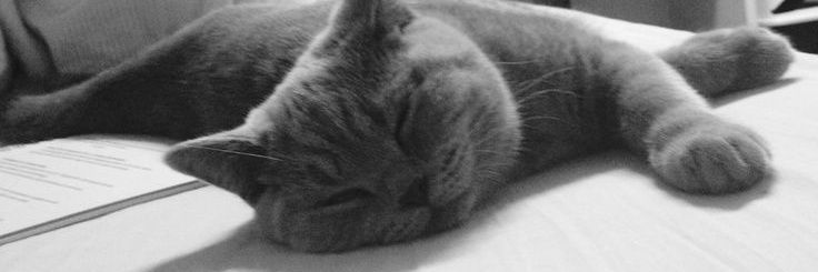 Deb_tls's profile banner image