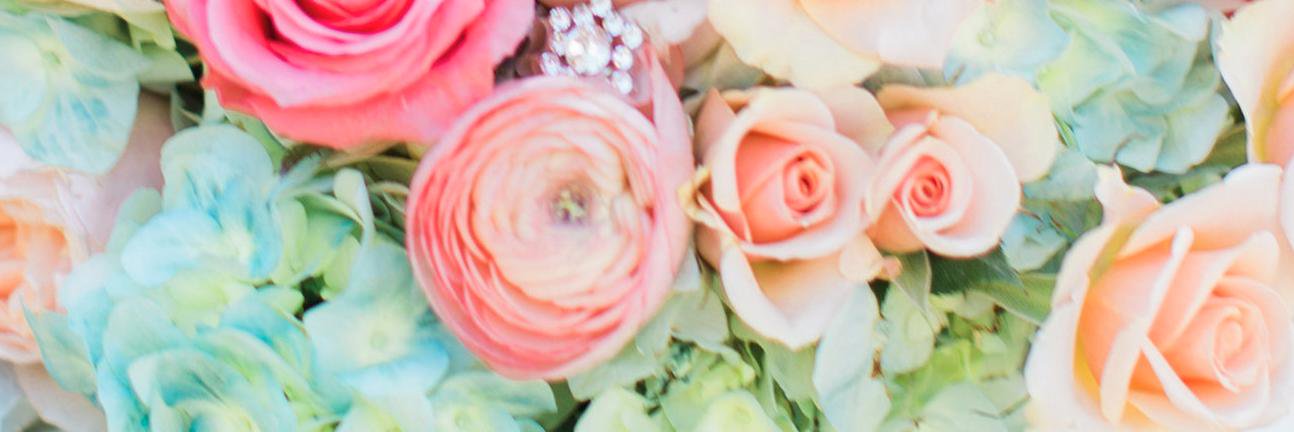 elle_danielle_'s profile banner image