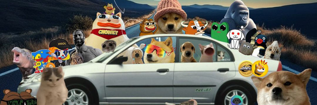 solmemechick's profile banner image