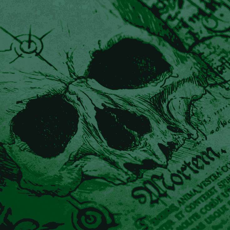 𝕹𝙾𝚃𝚃.ᅠ banner