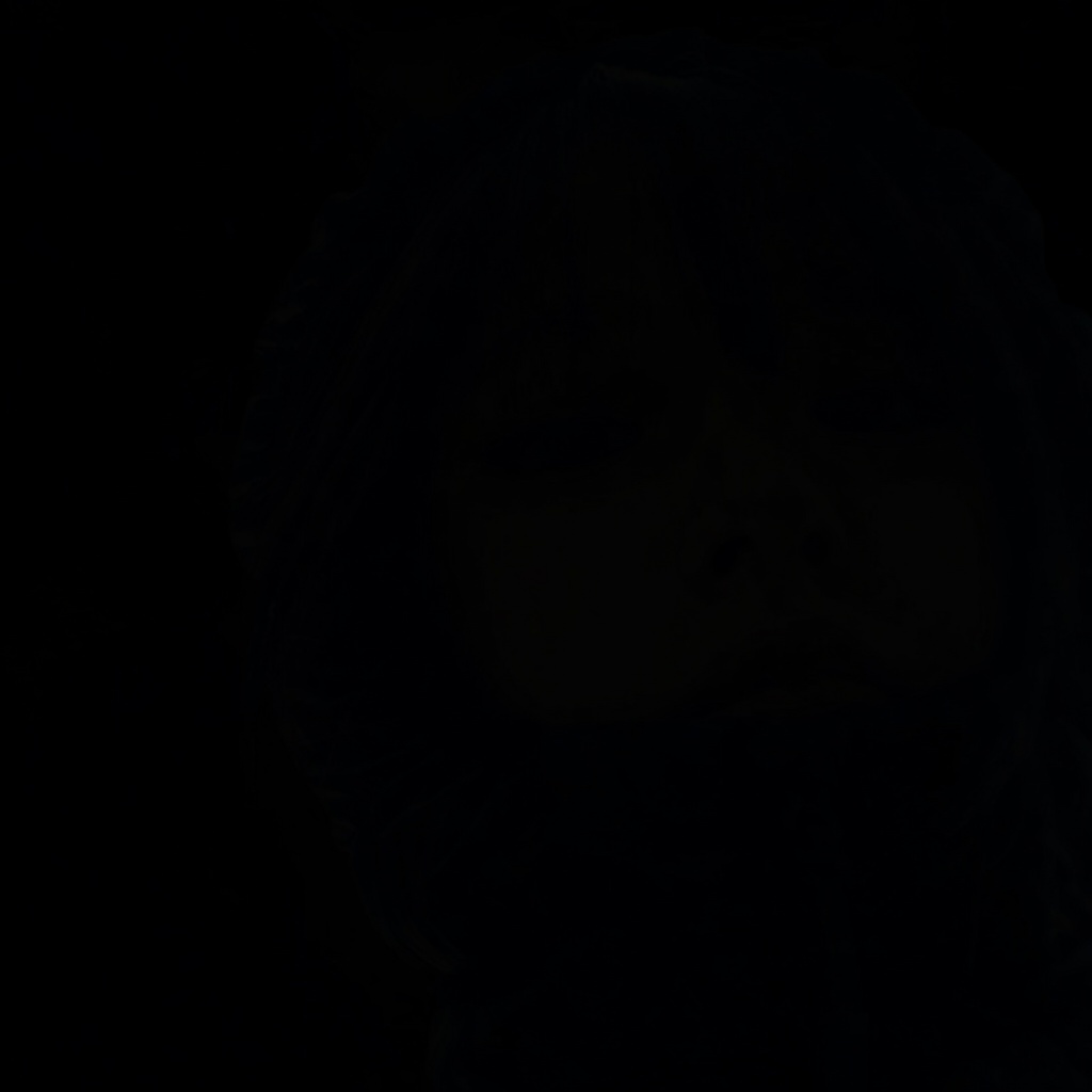 s banner