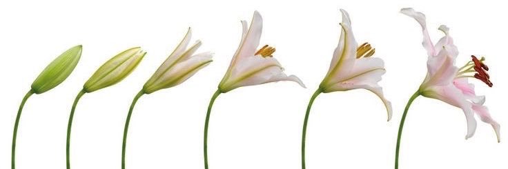 btterflyxeffct's profile banner image
