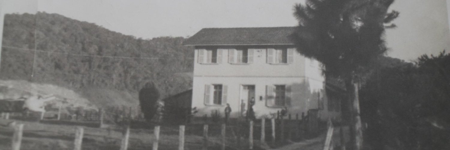 BudaPetermann's profile banner image