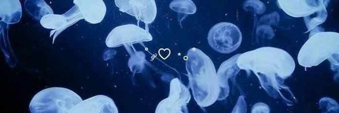 S2_EIEI's profile banner image