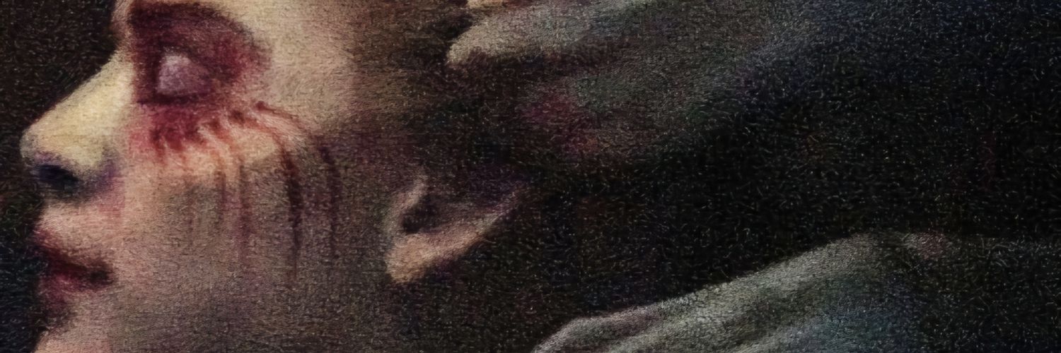 VampAmire's profile banner image