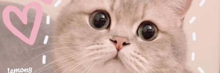 ชอบกิน โกโก้🧋 banner